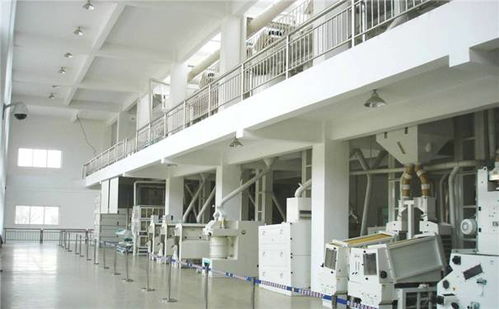 年产10000吨大米加工厂整体规划与设备布局设计